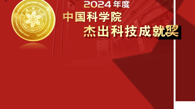 企业数字化转型：方案与实施的差异化解析**